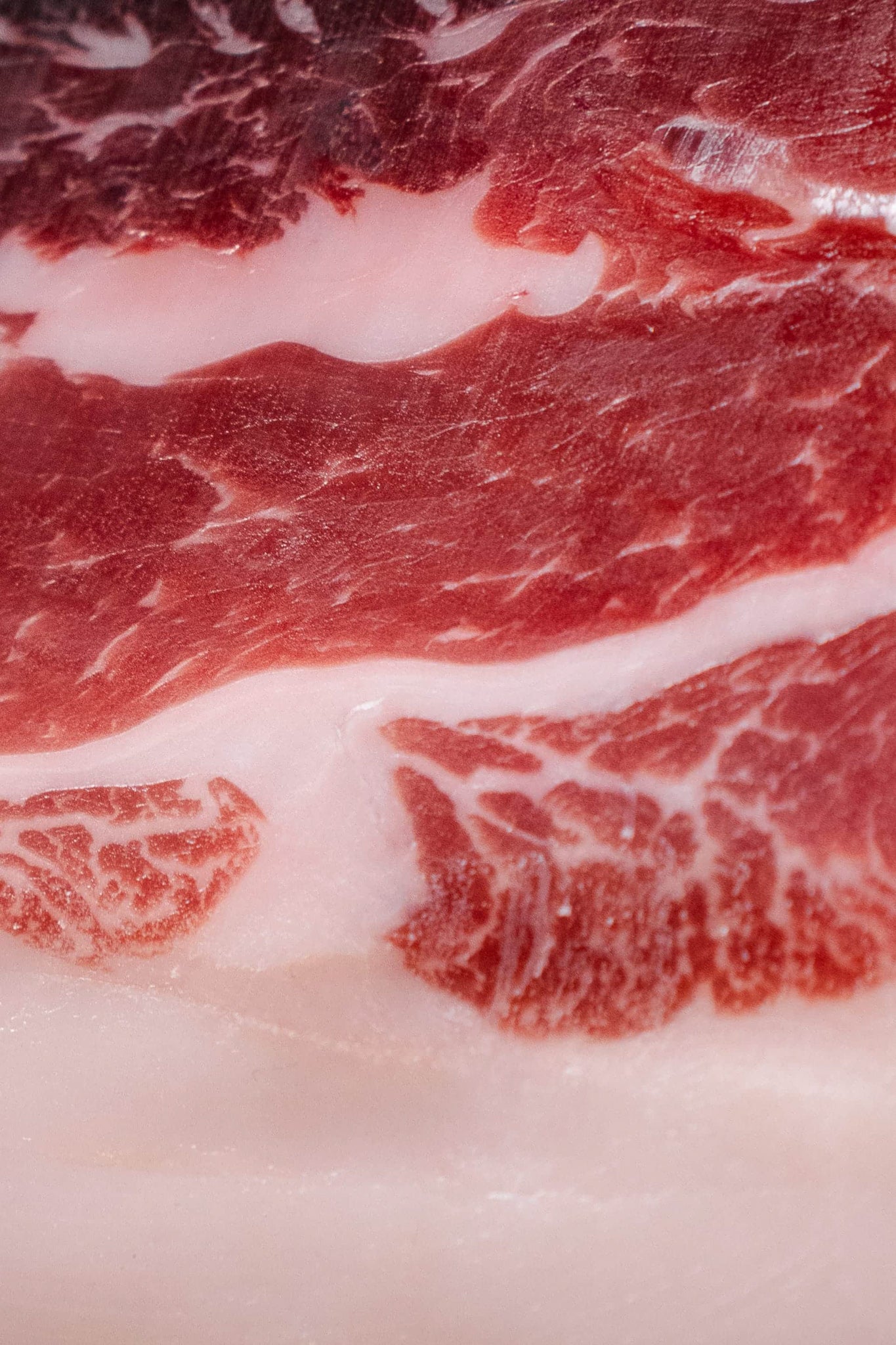 Speck