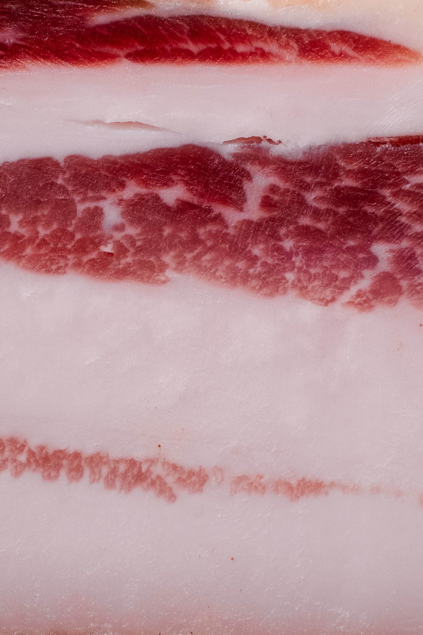 Lardo